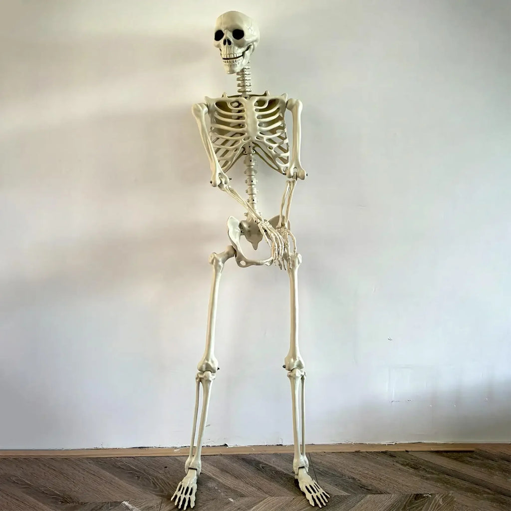 Halloween Realistic Body Bones Life Size Human Skeleton With Posable Joints Simulation Skull Ornament Haunted House Horror Props