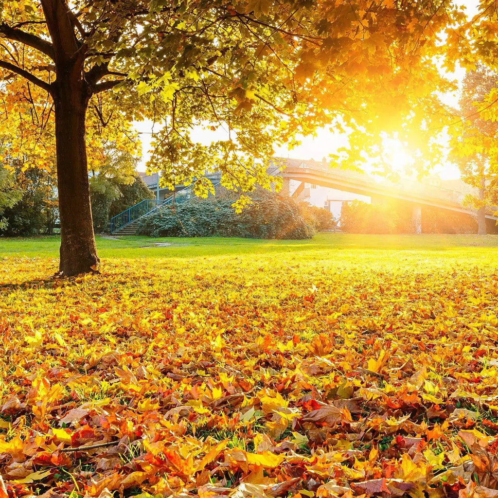 Fall Artificial Maple Leaves for Thanksgiving Weddings Decorations Festival Events 100 200pcs